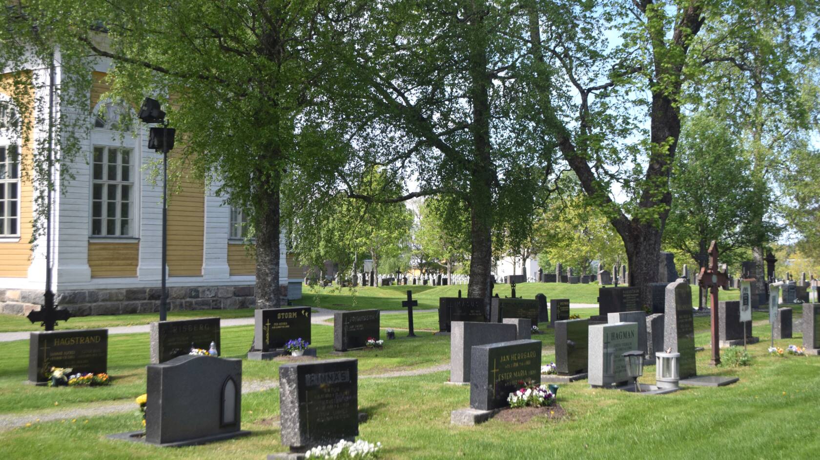 Gravstenar och grönskade björkar med en glimt av Malax kyrka mellan träden.